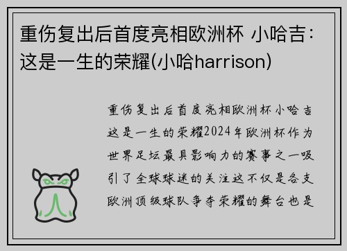 重伤复出后首度亮相欧洲杯 小哈吉：这是一生的荣耀(小哈harrison)